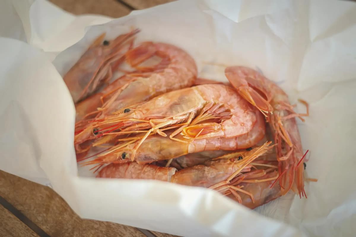 crevettes