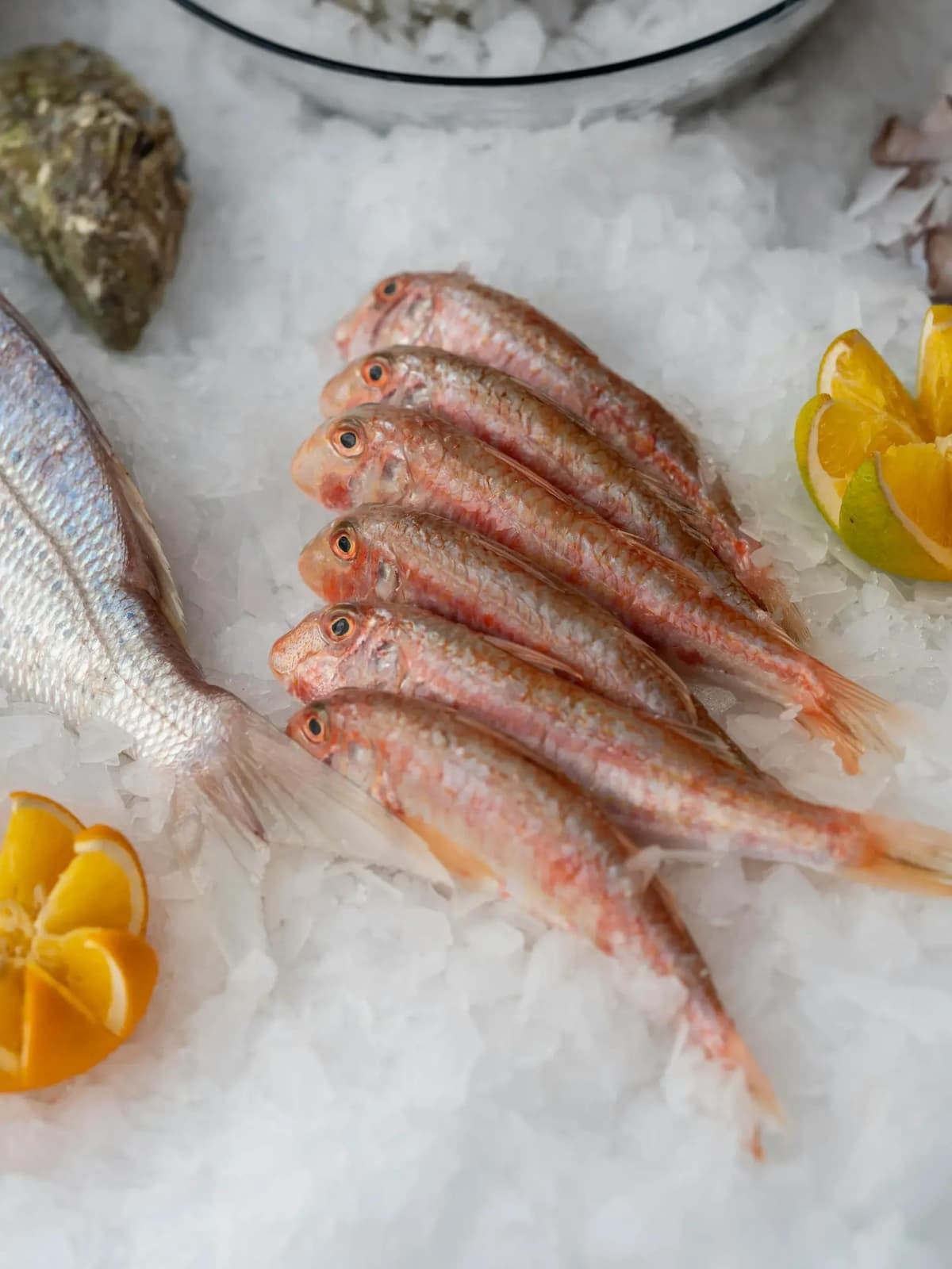 poissons
